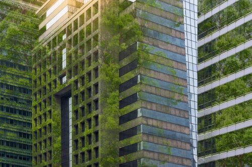 construcciones sustentables