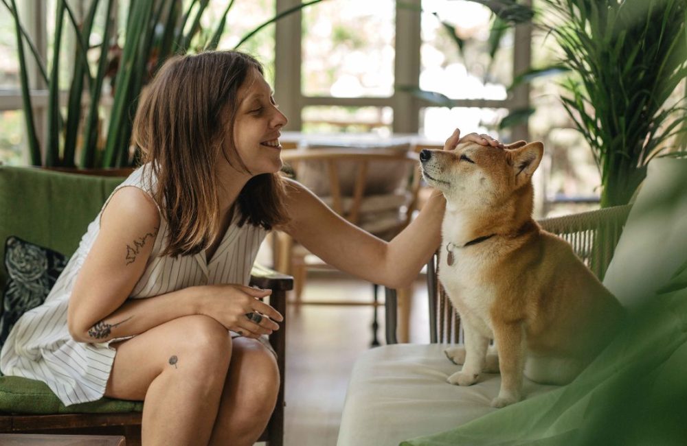 vivir en un edificio pet friendly