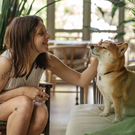 vivir en un edificio pet friendly