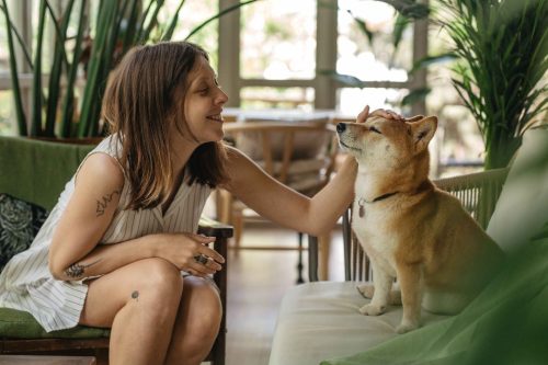 vivir en un edificio pet friendly