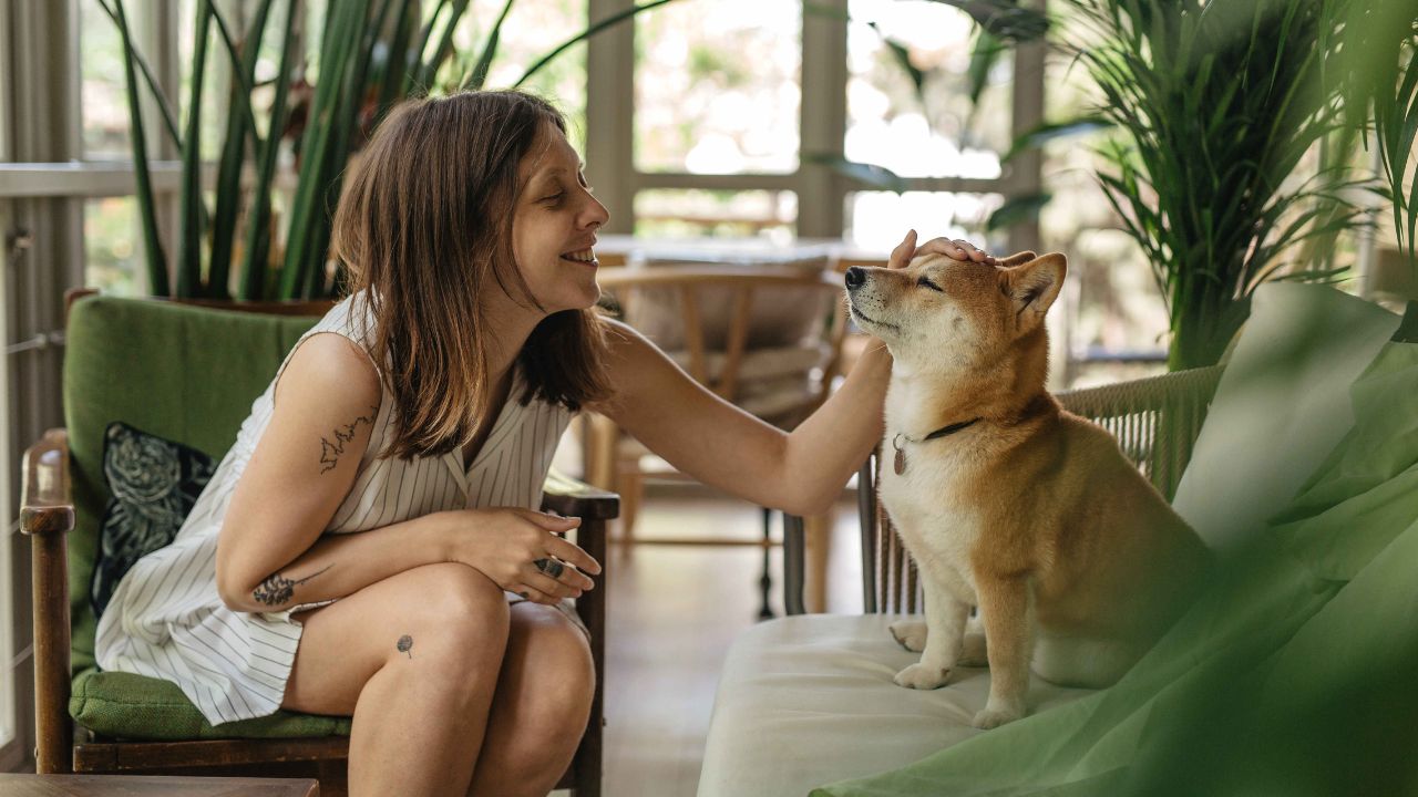 12 beneficios de vivir en un edificio pet friendly Zuba