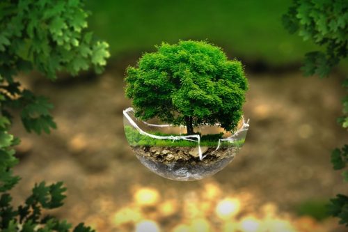 arquitectura Eco-Friendly