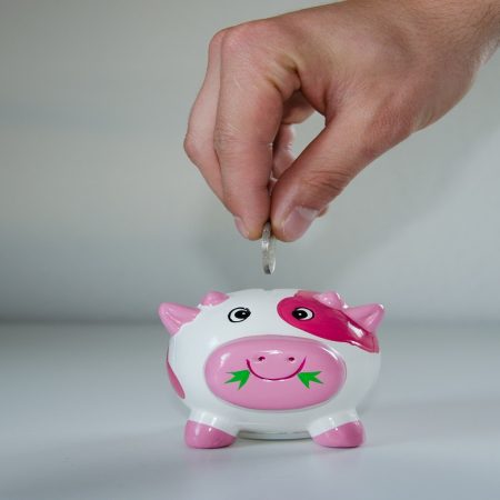 reducir gastos económicos