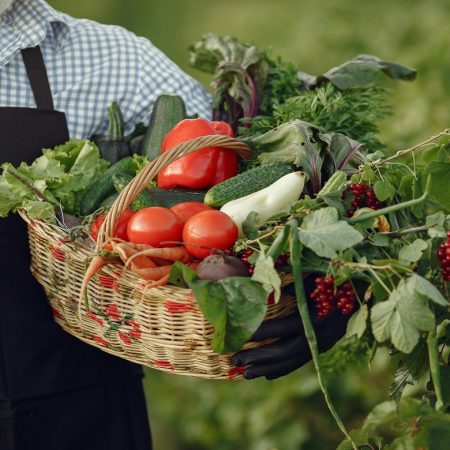 mini huerta